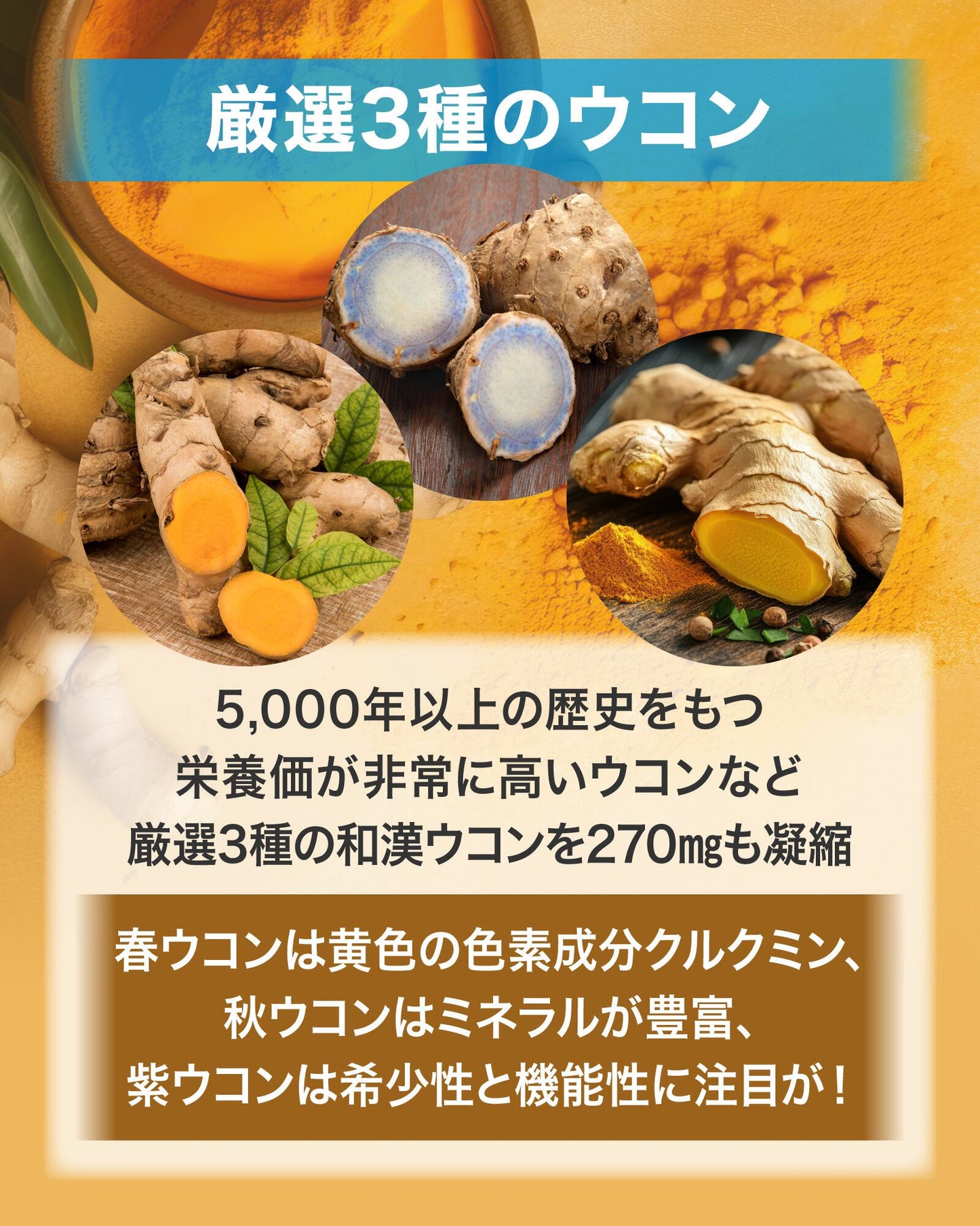 肝臓エキス+3種のウコン