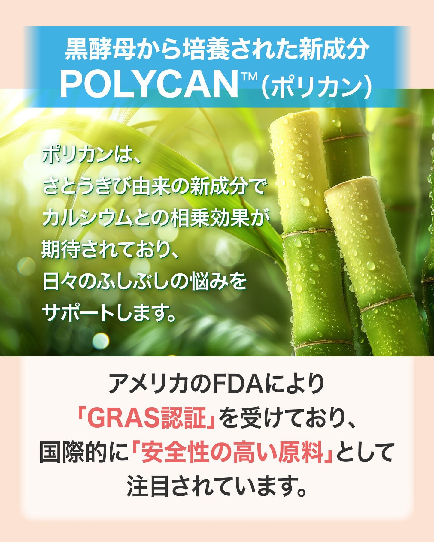 栄養機能食品カルシウム+マグネシウムサプリ