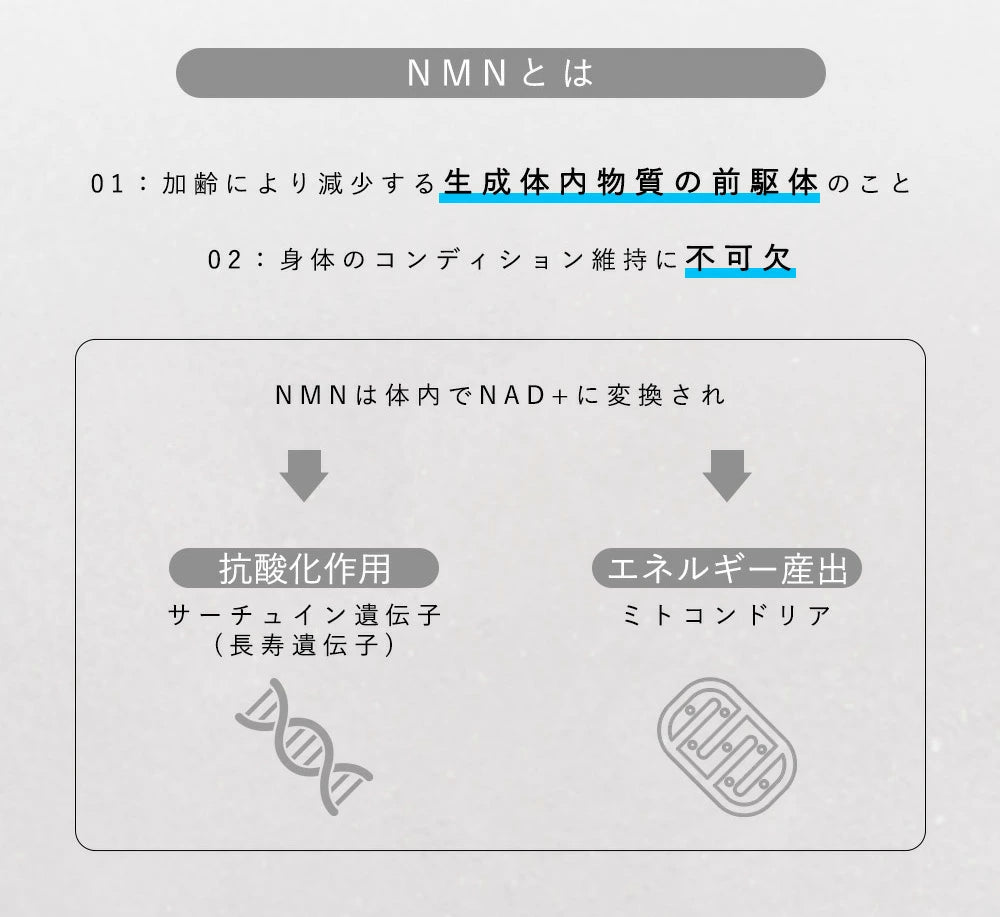 NMN6000 サプリメント エイジングケア 健康 疲れ だるい 日本製 サプリメント 高品質 男性 女性 ニコチンアミド サプリ 40代 50代 60代 nmnサプリ 国産 ニコチンアミドモノヌクレオチド 健康サプリ