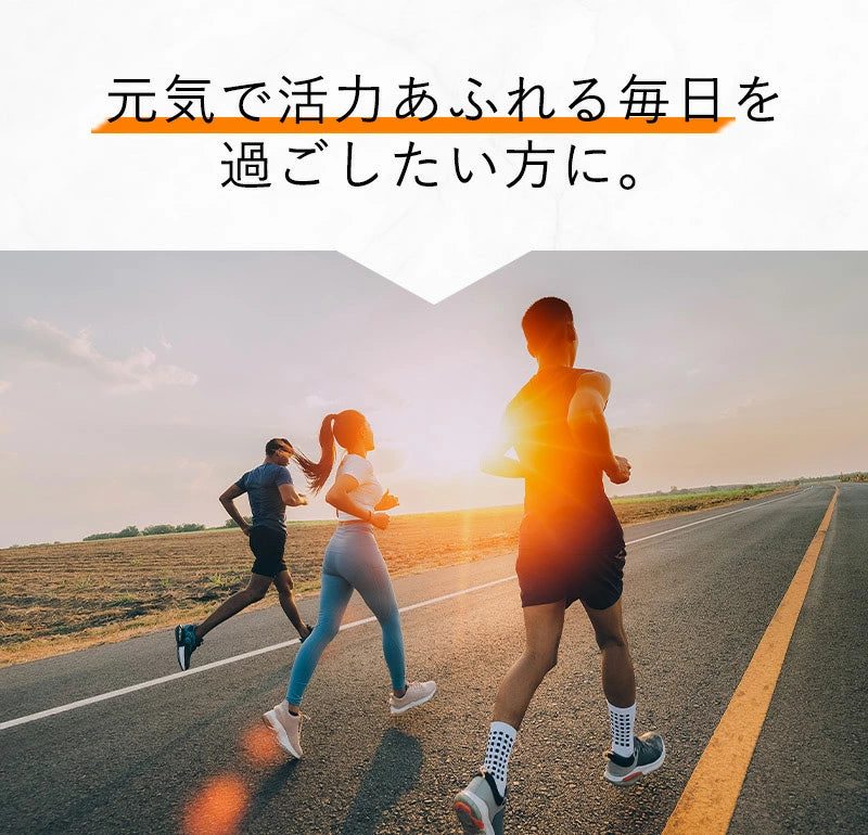 栄養機能性食品 亜鉛 サプリメント 1粒13.5mg 30日分 日本製 元気 健康 活力 食欲 味覚 栄養サプリメント ビタミンBサプリ スポーツサプリメント 仕事 疲れ 亜鉛サプリ 男性 女性 エイジングケア 食欲不振 メンズサプリ