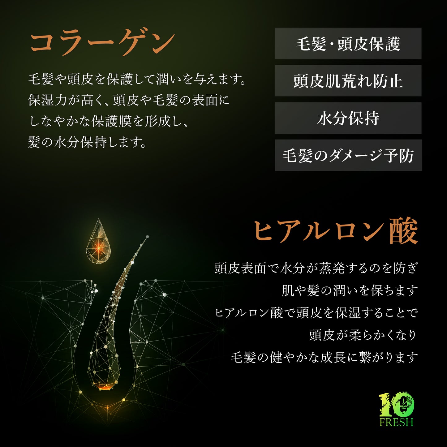 10FRESHアミノシャンプー