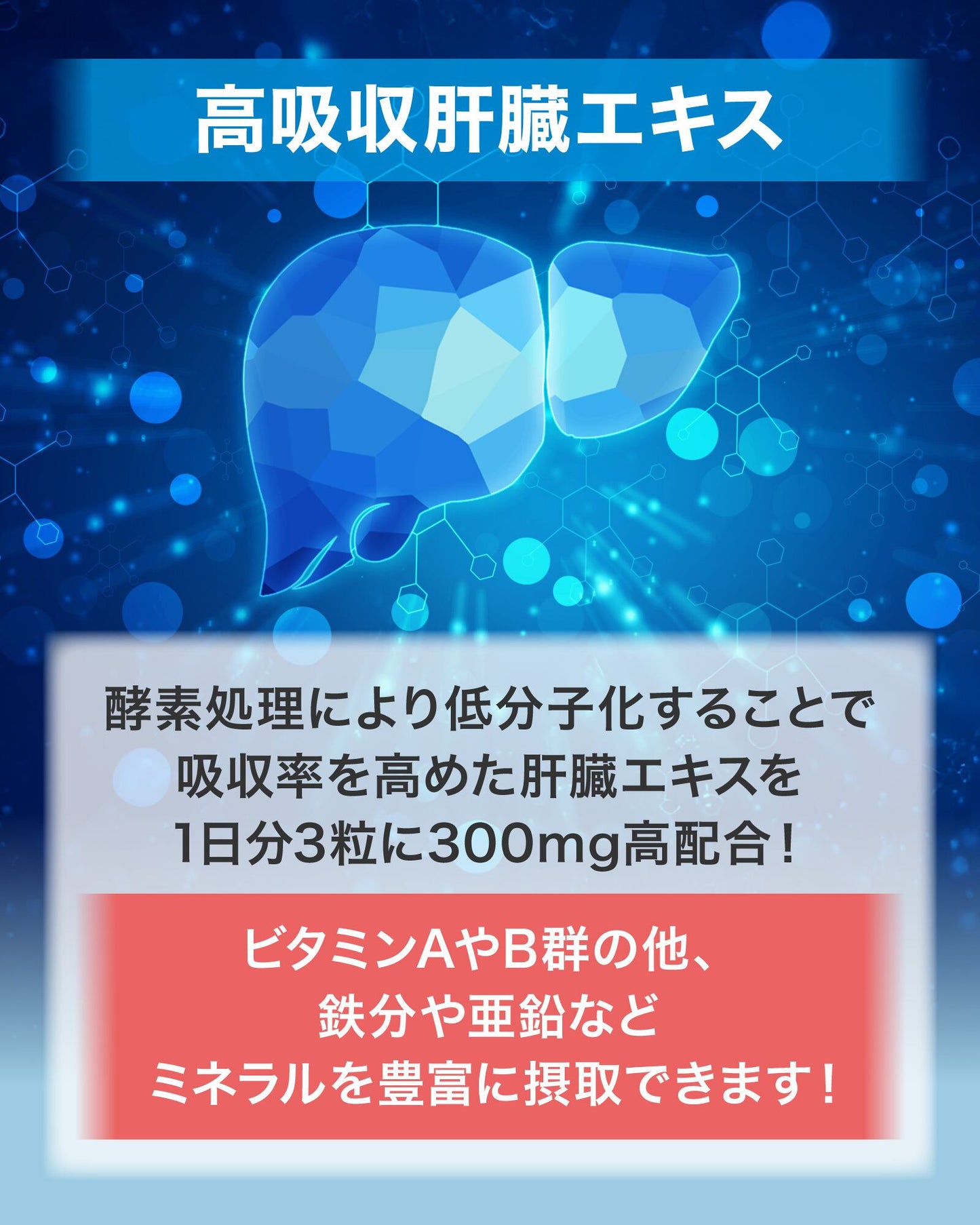 肝臓エキス＋3種のウコン