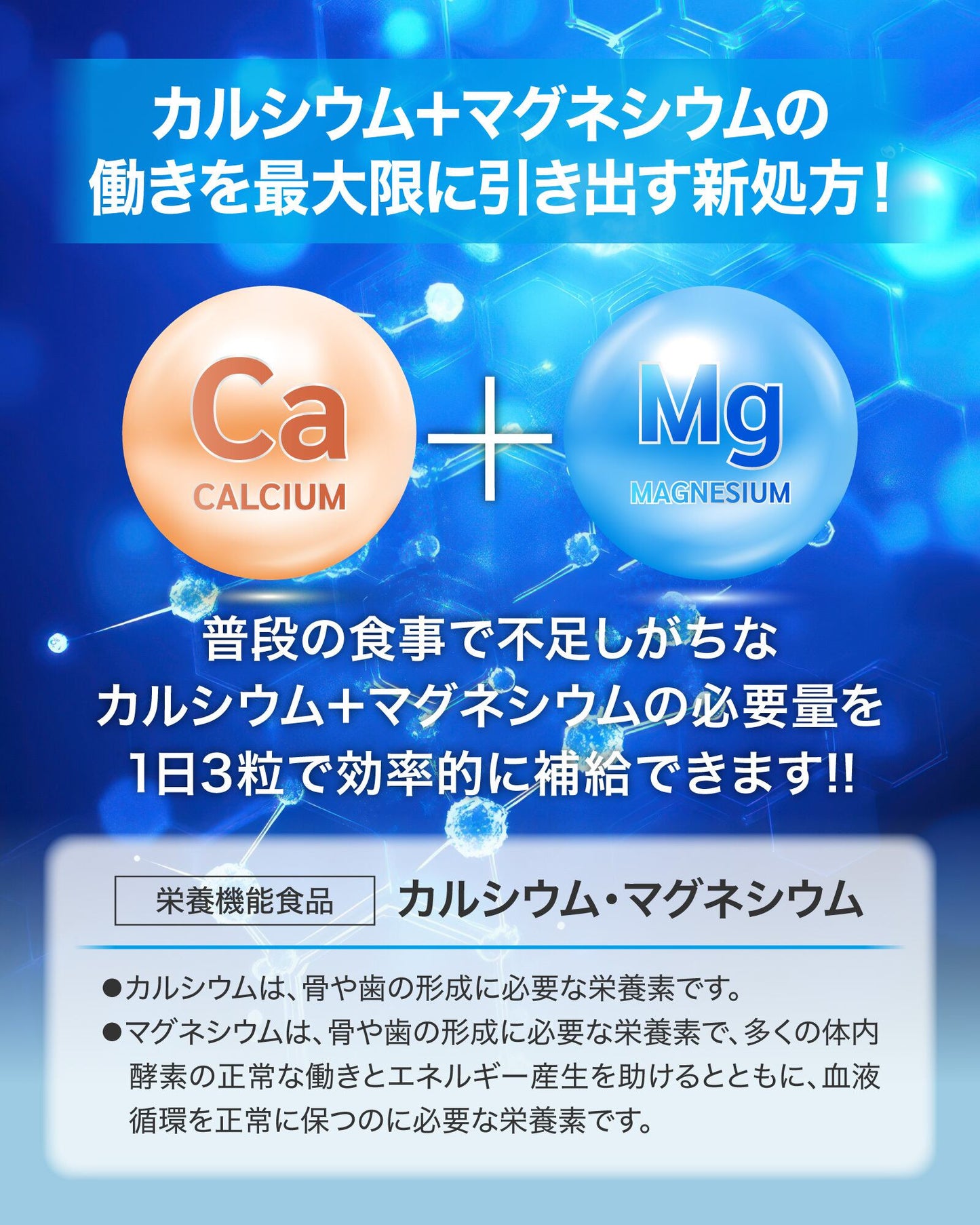栄養機能食品カルシウム＋マグネシウムサプリ